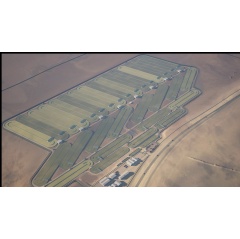 Brilliant Planet algae