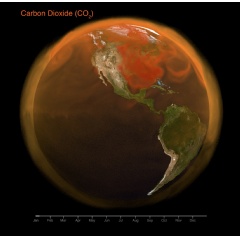 Visualization of total carbon dioxide in the Earth�s atmosphere in 2021
NASA