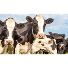 Video by Melanie Gonick/MIT News | 4 minutes, 35 seconds