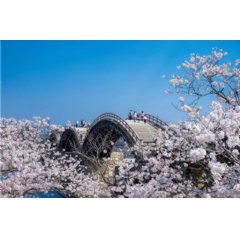Kintaikyo Bridge, Yamaguchi Prefecture � JNTO