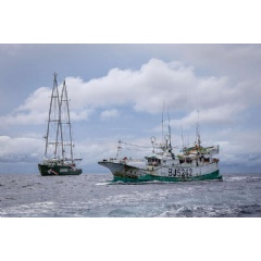 Chyuan Shenq No. 226 longliner
North Pacific Ocean
Credit line: © Ulet  Ifansasti / Greenpeace