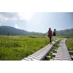 Midagahara Wetlands, Tateyama-Kurobe Alpine Route, Toyama Prefecture © Toyama Tourism Organization