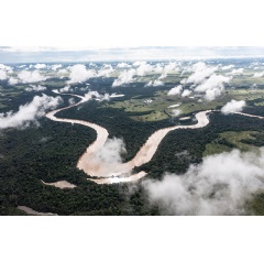 The Serranía de Mancacías National Natural Park, a new protected area in Colombia providing a vital wildlife corridor connecting the tropical savannah of the Orinoquia with the Amazon rainforest.