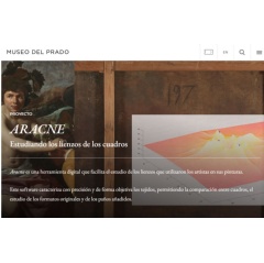 Aracne programme