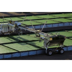 Fyto helps farmers grow plant-based feed and fertilizer using wastewater for a more sustainable, profitable food system.
Credit: Courtesy of Fyto