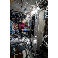 NASA astronaut Engineer Anne McClain works inside the Destiny laboratory module�s Materials Science Research Rack and swaps filters inside the Kermit microscope used to conduct biological, physical, and materials science research.
NASA