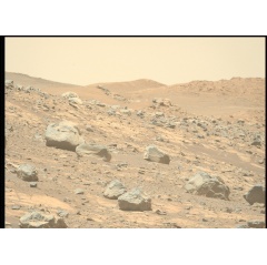 NASA�s Mars Perseverance rover acquired this image of the boulders along the contact at Westport, using its Mastcam-Z Left Camera, one of a pair of cameras located high on the rover�s mast.
NASA/JPL-Caltech/ASU