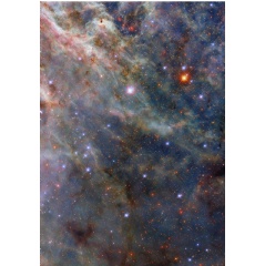 This NASA/ESA Hubble Space Telescope image shows a portion of the Tarantula Nebula.
ESA/Hubble & NASA, C. Murray