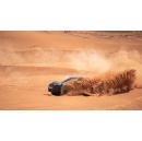 Cayenne testing under extreme conditions  real and virtual