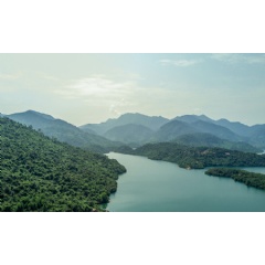 WWF and IKEA have been working together in Viet Nam since 2006 to support responsible forest management while protecting biodiversity and providing sustainable livelihoods for local communities. James Morgan/WWF