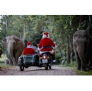 Enchanting Holidays: Minor Hotels Festive Escapes Across Asia and the Maldives