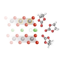 * MIT researchers have shown that as lithium ions (green) move from an electrolyte solution (right) to a cobalt oxide electrode (left), electrons also move into the electrode and reduce the cobalt.
Courtesy of the researchers; Christine Daniloff, MI