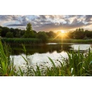 Celebrating Nature: Wildlife at the Home of Rolls-Royce