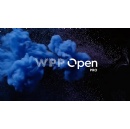 WPP unveils WPP Open Pro: empowering brands to plan, create and publish campaigns directly through its AI marketing platform