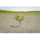 Slow climate adaptation threatening lives and economies