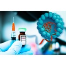 Particles that enhance mRNA delivery could reduce vaccine dosage and costs