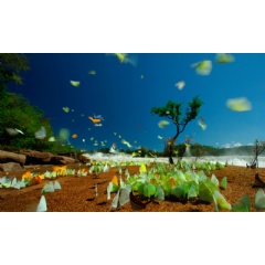 The Amazon connection: Why nature is climates ally at Cop30