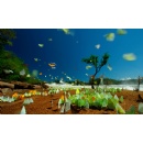 The Amazon connection: Why nature is climates ally at Cop30