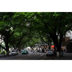 Photo credit: wen panda on Unsplash