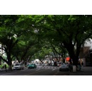 Amid rising heat, sustainable cooling can slash emissions and save trillions of dollars