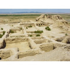 Photo credit: LoggaWiggler from Pixabay