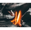 New ReFED Report Offers Insights on Most Fundable Solutions in Food Waste-To-Feed