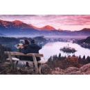 Indian Families Chase the Chill with 30% Rise in Cold-Weather Travel Interest This Festive Holiday Season