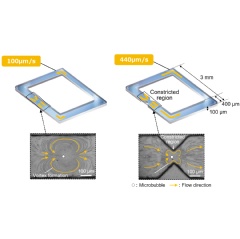 Flow generation in a microchannel by microbubbles
