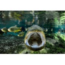 Dramatic Images Of The Impact Of Climate Change On Worlds Largest Wetland To Go On Display At The Science Museum