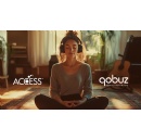 ACCESS Europe and Qobuz Partner to Bring High-Resolution Music Streaming to Automotive & Smart TV Platforms Worldwide