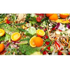 Europe could cut bio-waste by making food producers help to fund collection