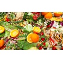 Europe could cut bio-waste by making food producers help to fund collection