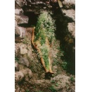Ana Mendieta