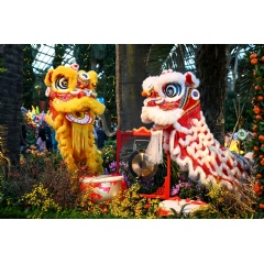 Agoda Reveals Trending Asian Destinations for Lunar New Year Travel, Tokyo Retains Top Spot