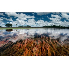 Aerial view reveals the main drainage channel of the Castelo Flood-lake. Pantanal da Nhecol�ndia, Mato Grosso do Sul, May, 2018 � Luciano Candisani