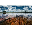 Dramatic images of the impact of climate change on world�s largest wetland go on display at the Science Museum in London