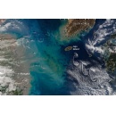 Showy Swirls Around Jeju Island