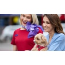 Virgin Australia Confirms Its Intent to Continue and Expand Pets in Cabin Service
