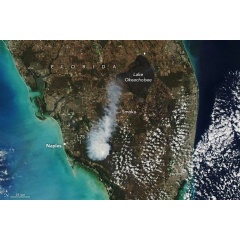 NASA Earth Observatory image by Lauren Dauphin, using MODIS data from NASA EOSDIS LANCE and GIBS/Worldview. Story by Kathryn Hansen.