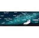 NSF-DOE Vera C. Rubin Observatory launches real-time discovery machine for monitoring the night sky