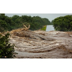 A flooding river in the Kruger National Park in January 2026. Photo Credit: Africa Lens