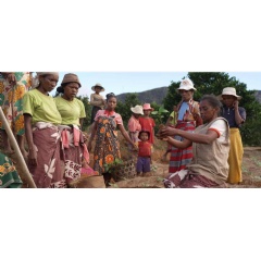 Women farmers, led by Ernestine Razafindravola (right), the head of the Soa Te Hivoatra Women�s Association, plant crops using adaptation techniques in Androy Village, East Madagascar. Photo credit: GCF/Little Big Films