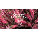Raising the standard: L�OCCITANE Group advances its B Corp� journey towards recertification