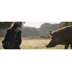 Isabella Tree, as played by Rhiannon Neads, meets a Tamworth pig sow at Knepp Estate
Credit: Tim Cragg