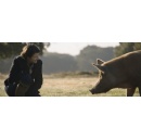 PBS Feature Documentary, WILDING, Tells the Story of a Couple Who Bet on the Power of Nature