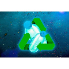 Ocean bacteria team up to break down biodegradable plastic