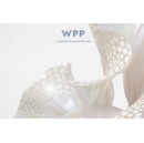 WPP publishes UK Gender Pay Gap Report for 2025