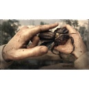 Cowboy Beetles are buzzing around the bayou & gulch