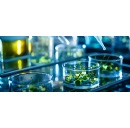 BIC calls for ambitious EU Biotech Act II to strengthen European biomanufacturing