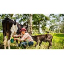 Hope for the Amazon: Stories of resilience, empowerment, and conservation